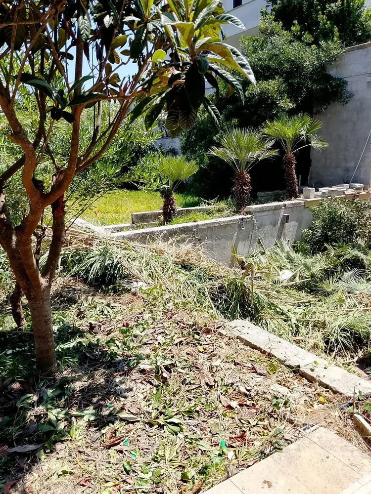 Nuove Piantumazioni