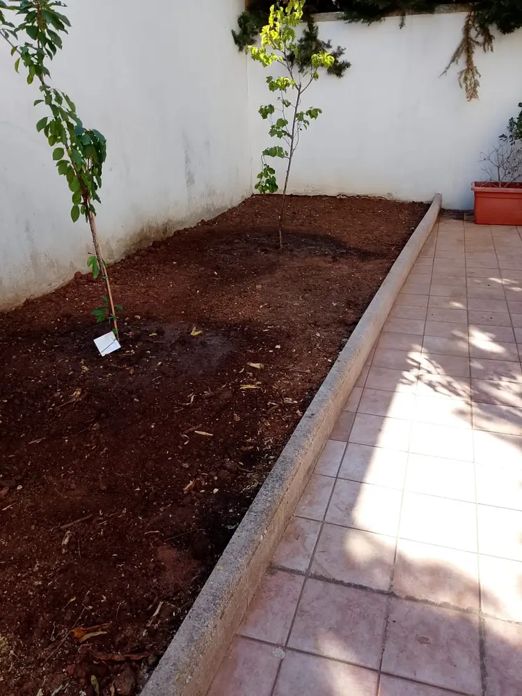 Sgombero e Pulizia Aree Verdi