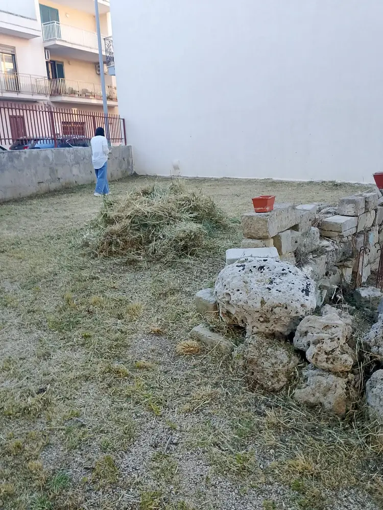 Pulizia Terreni Incolti